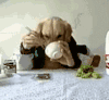 狗狗 吃东西 可爱 搞笑