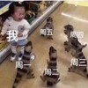 丧 丧逼 丧逼表情包