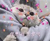 萌宠 喵星人 你想我亲你吗 亲亲 呆萌 可爱
