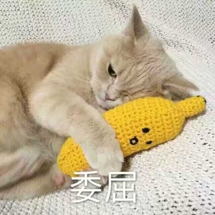猫咪 黄色 香蕉 可爱 委屈