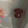狗狗 站立 开门 可爱
