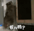 狗熊 欢乐 有人吗 趴门