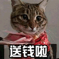 萌宠 猫 喵星人 送钱啦