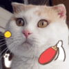 猫咪 恶搞 乒乓球 动漫