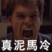 老外 抓狂 怒火 真泥马冷