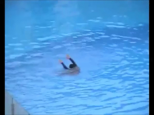 海豚 dolphin 救命 海狮 人工呼吸