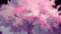 sakura gif 樱花