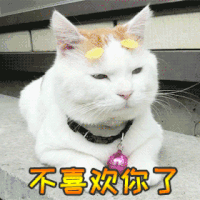 萌宠 搞笑 可爱