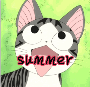 立夏 夏天来了 甜甜起司猫 萌宠