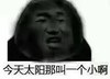 熊猫头 文字表情包 今天太阳那叫一个小啊 搞笑 沙雕 魔性