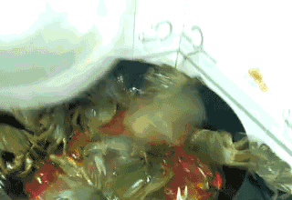 螃蟹 八条腿 横着走 锅