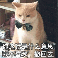 什么意思 猫 不喜欢 撤回去