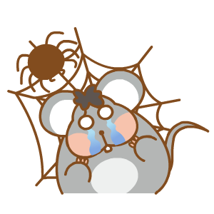 老鼠 害怕 流泪 蜘蛛