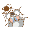 老鼠 害怕 流泪 蜘蛛