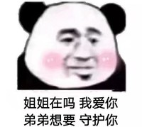 文字表情包 暴漫 姐姐在吗我爱你弟弟想要守护你 搞怪 逗趣 沙雕