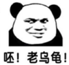 暴漫 文字表情包 呸老乌龟 搞笑 逗 沙雕