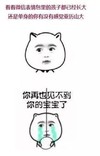 猫耳朵 大眼睛 流眼泪 你再也见不到你的宝宝了