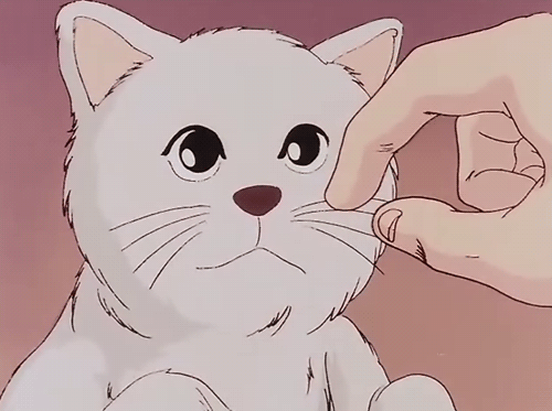 猫咪 手指 逗乐