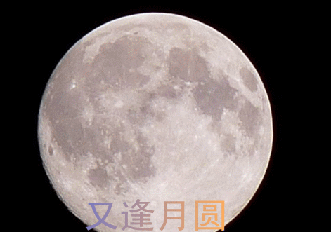 月亮 月圆 中秋 月饼