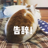 萌宠 猫星人 告辞 再见 搞怪 呆萌