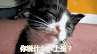 假期综合症