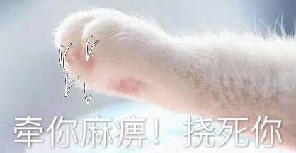 可爱 萌 文字表情包 小手 猫爪