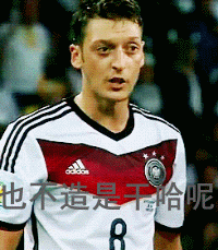 足球 厄齐尔 助攻 德国队 表情
