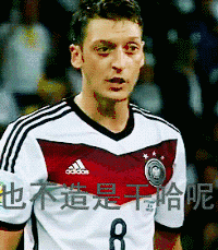 足球 厄齐尔 助攻 德国队 表情
