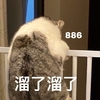 萌宠 猫星人 溜了溜了 拜拜 呆萌 可爱