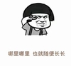 也就随便长长 金馆长 剪刀手 斜眼