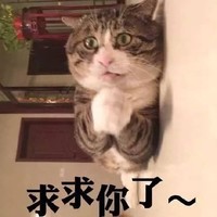 猫咪 毛茸茸 可爱 求求你了