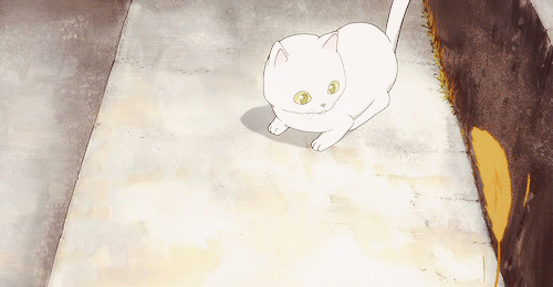 动漫 小白猫 可爱 叶子