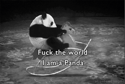 可爱 大熊猫 真会玩