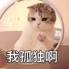 萌宠 猫星人 我孤独啊 可怜 呆萌 可爱