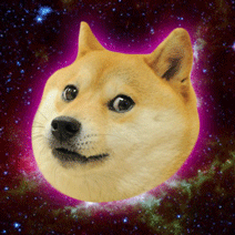 狗狗 抠像 星空 魔性