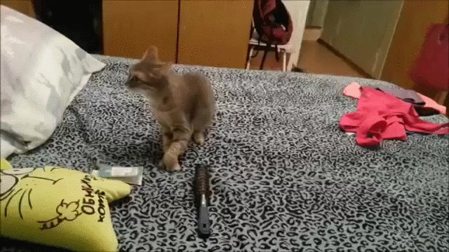 打喷嚏 sneezing