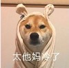 萌宠 汪星人 太冷了 冻死了 呆萌 可爱