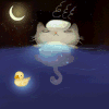 月亮 闪烁 黑夜 鸭子