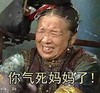还珠格格 李明启 容嬷嬷 你气死妈妈了