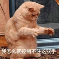 猫 控制不住 怎么 可爱 呆萌