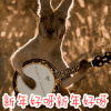 新年好呀 袋鼠 弹琴 搞笑