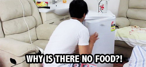 冰箱 没有 食物 沙发