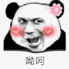 暴漫 哟呵 魔性 熊猫人 嘲讽 斗图