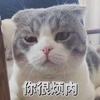 萌宠 喵星人 你很烦内 生气 呆萌 可爱
