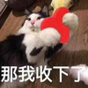 萌宠 喵星人 那我收下了 礼物 呆萌 搞怪