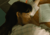 少女时代 林允儿 影视剧情 韩星