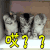 蒙圈 ？？？哎？