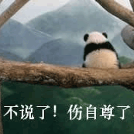 熊猫 不说了 自尊 可爱 呆萌