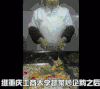 厨师 美食 美女 长头发