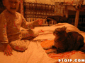 宠物猫 逗比 孩子 打斗